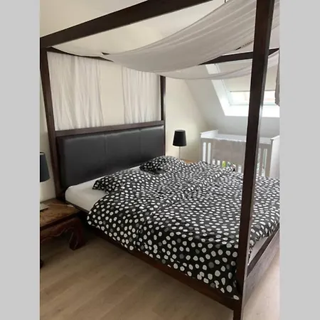 Ozzy 's Place Apartment *